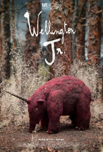 Wellington Jr.
