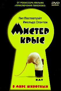 Мистер крыс