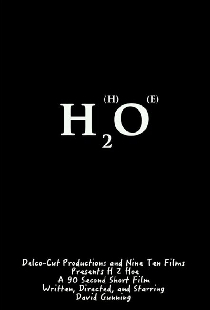 H 2 Hoe