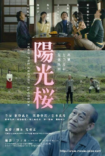 陽光桜－YOKO THE CHERRY BLOSSOM－