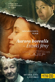 Аврора Бореалис: Северное сияние