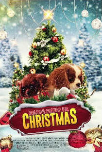 Project: Puppies for Christmas