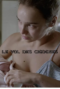 Le Vol des cigognes