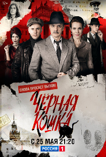 Черная кошка