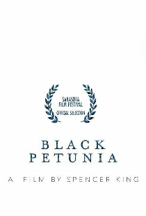 Black Petunia
