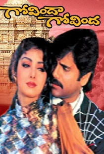 గోవింద గోవింద