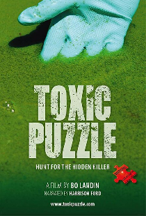 Toxic Puzzle