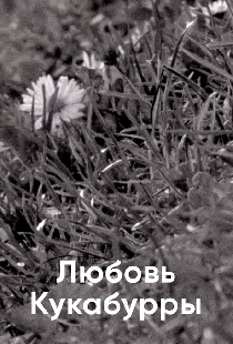 Любовь Кукабурры