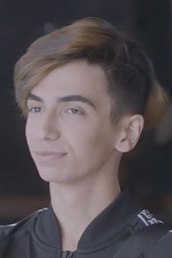 Дайлер