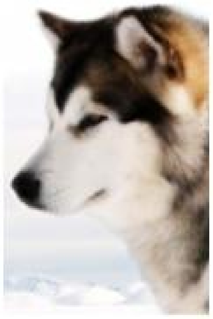 Ноубл