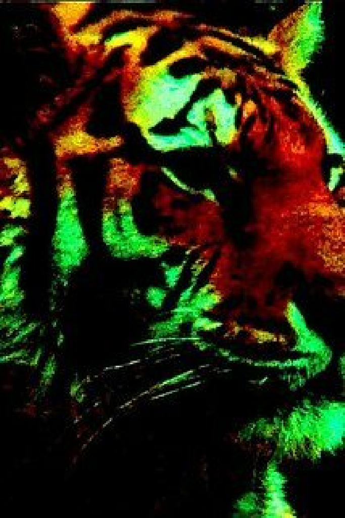 MacroTiger