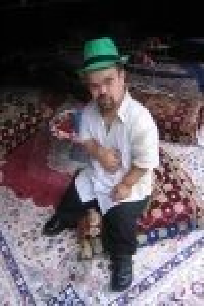 Эдвин Алофс