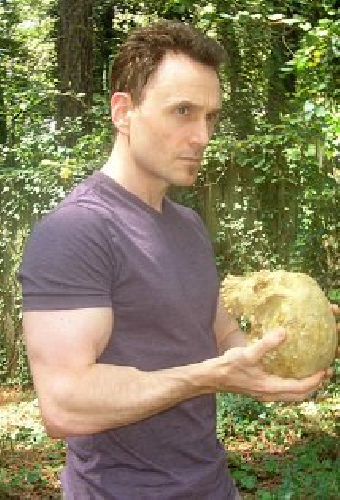Робин Сприггс