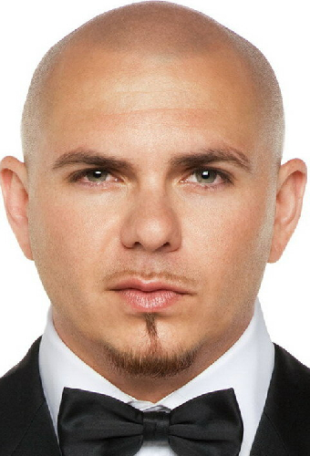 Питбуль
