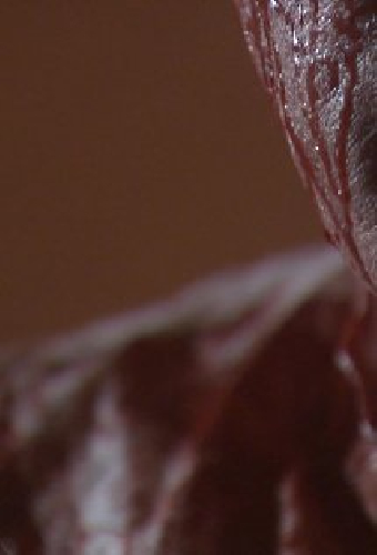 Хакан Гуннарсон