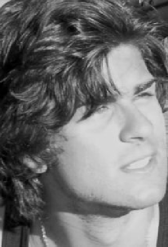 Landen Wakil
