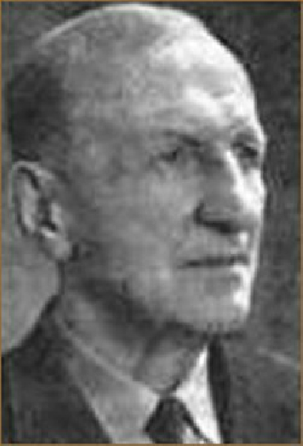 Николай Брыкин