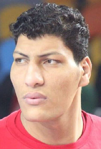 Hamad Fathi Abul-Rish